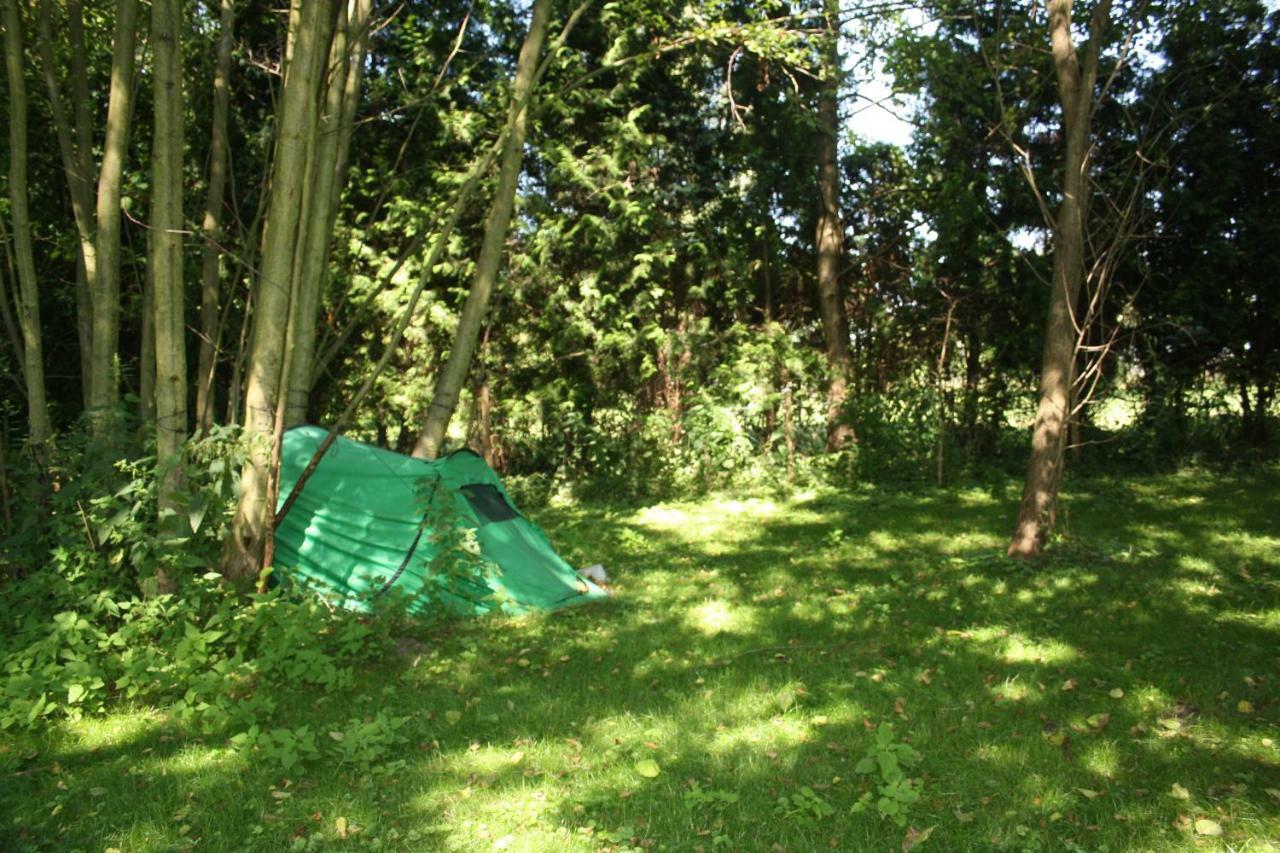 Gaestezimmer Sommer Locktow المظهر الخارجي الصورة
