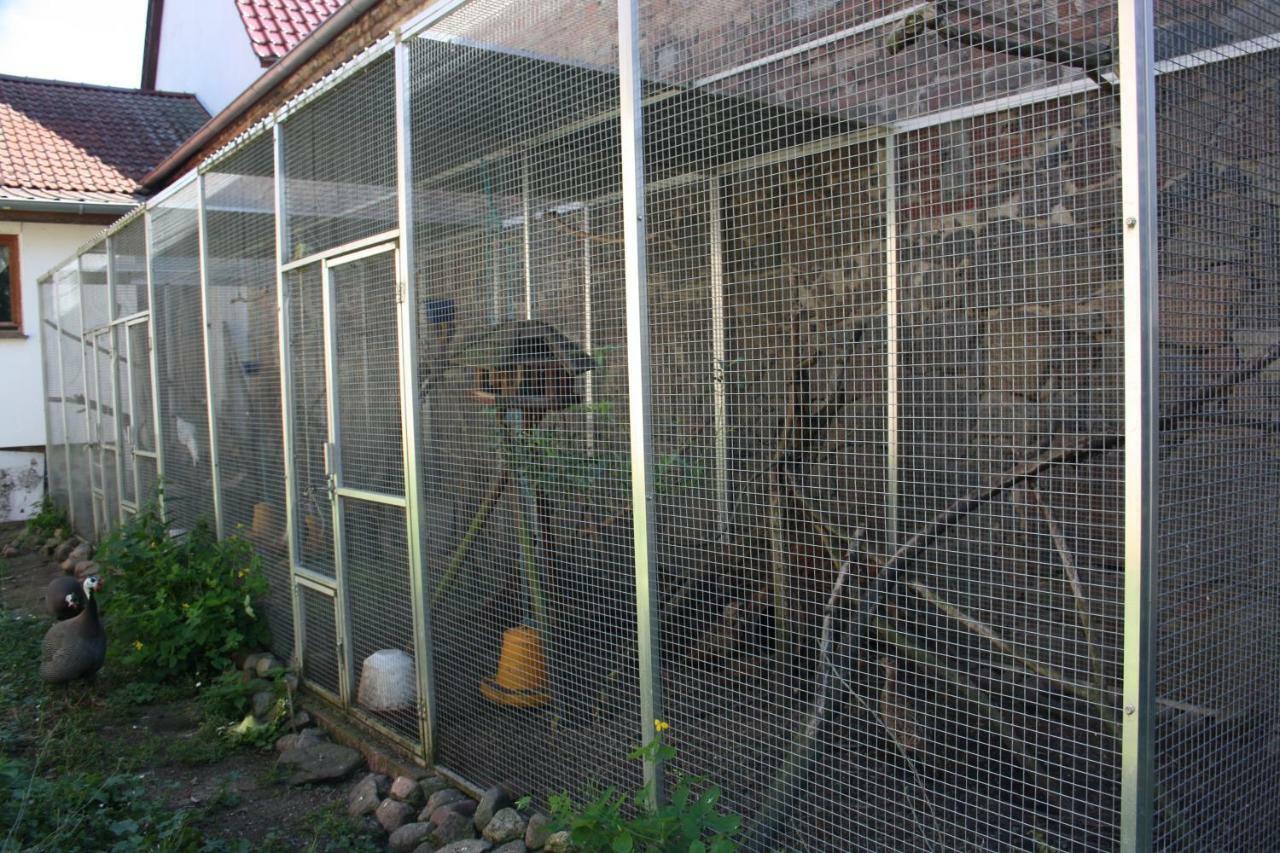 Gaestezimmer Sommer Locktow المظهر الخارجي الصورة